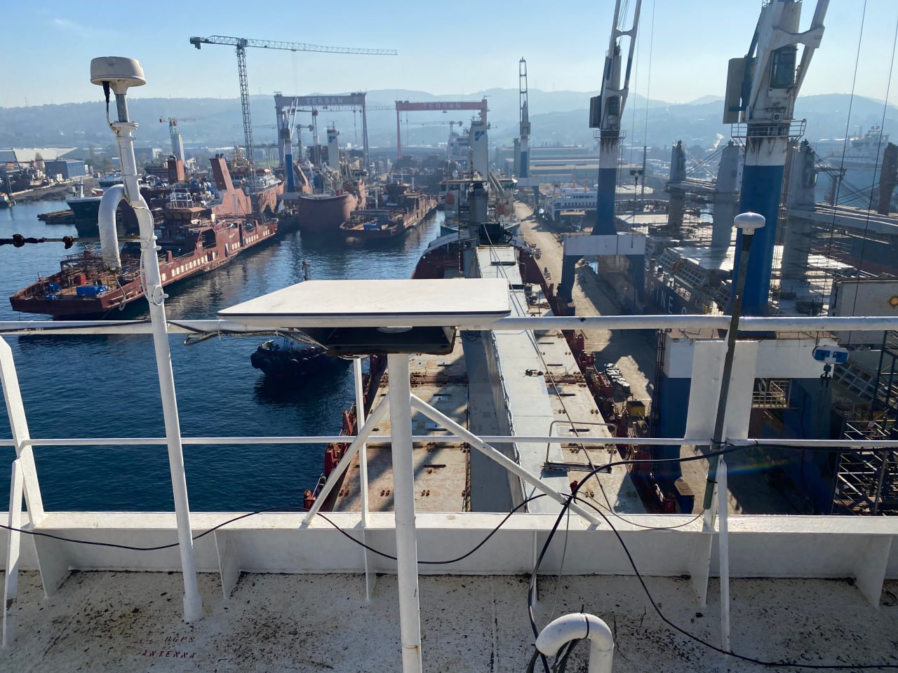 photo_2026-01-25_16-33-58