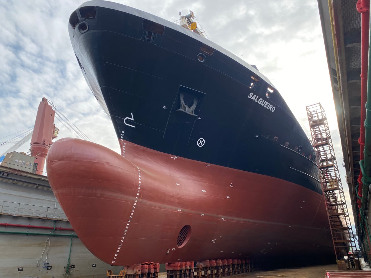 photo_2026-01-25_16-36-30 (3)