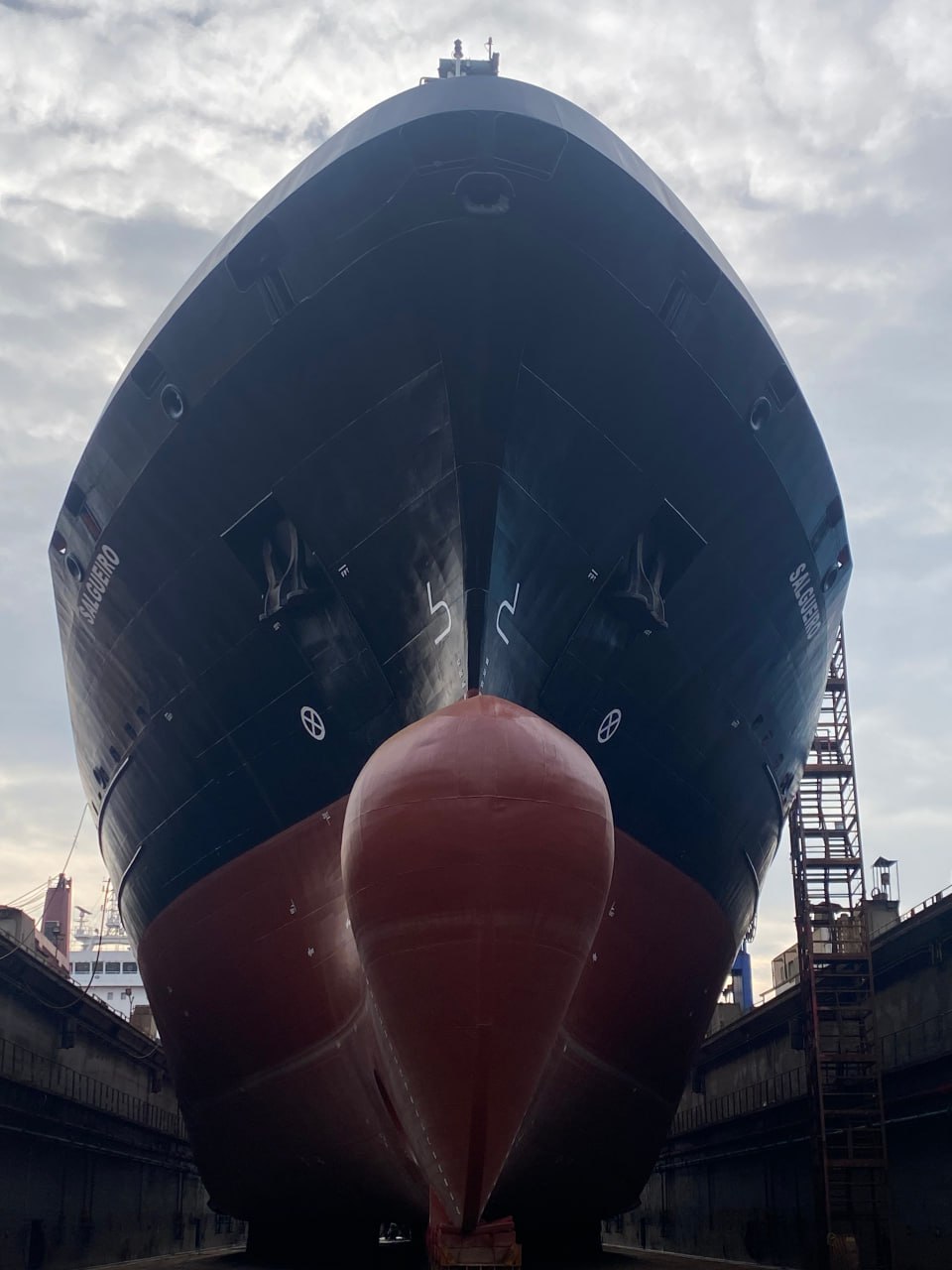 photo_2026-01-25_16-36-31